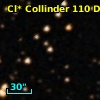 Cl* Collinder  110     DI    3237