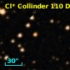 Cl* Collinder  110     DI    3239