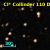 Cl* Collinder  110     DI    3248