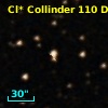 Cl* Collinder  110     DI    3252