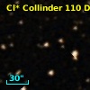 Cl* Collinder  110     DI    3254