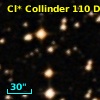 Cl* Collinder  110     DI    4202