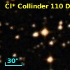 Cl* Collinder  110     DI    4203