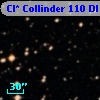 Cl* Collinder  110     DI    4208