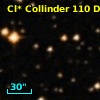 Cl* Collinder  110     DI    4219
