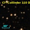 Cl* Collinder  110     DI    4220
