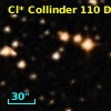 Cl* Collinder  110     DI    4223
