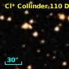 Cl* Collinder  110     DI    4225