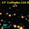 Cl* Collinder  110     DI    4233