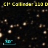 Cl* Collinder  110     DI    4253