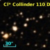 Cl* Collinder  110     DI    4254