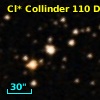 Cl* Collinder  110     DI    4256