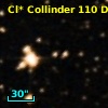 Cl* Collinder  110     DI    4270