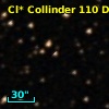 Cl* Collinder  110     DI    4271