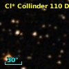 Cl* Collinder  110     DI    1302