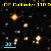 Cl* Collinder  110     DI    1303