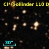 Cl* Collinder  110     DI    1304