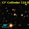 Cl* Collinder  110     DI    1305