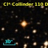 Cl* Collinder  110     DI    1306