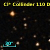 Cl* Collinder  110     DI    1309