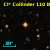 Cl* Collinder  110     DI    1310