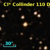 Cl* Collinder  110     DI    1311