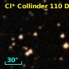 Cl* Collinder  110     DI    1312