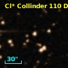 Cl* Collinder  110     DI    1313