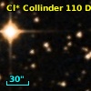 Cl* Collinder  110     DI    1314