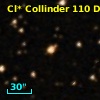 Cl* Collinder  110     DI    1316
