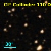 Cl* Collinder  110     DI    1317