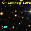 Cl* Collinder  110     DI    1318