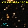 Cl* Collinder  110     DI    2323