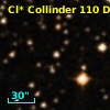 Cl* Collinder  110     DI    2329