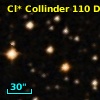 Cl* Collinder  110     DI    2331