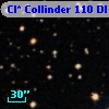 Cl* Collinder  110     DI    2333