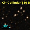 Cl* Collinder  110     DI    2338