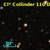 Cl* Collinder  110     DI    3342