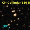 Cl* Collinder  110     DI    3345