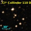 Cl* Collinder  110     DI    3347