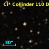 Cl* Collinder  110     DI    3350