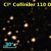 Cl* Collinder  110     DI    3355