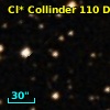 Cl* Collinder  110     DI    4361