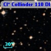 Cl* Collinder  110     DI    4371