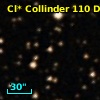 Cl* Collinder  110     DI    4376