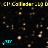 Cl* Collinder  110     DI    4377