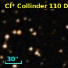 Cl* Collinder  110     DI    2121