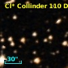 Cl* Collinder  110     DI    4134
