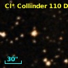 Cl* Collinder  110     DI    2223