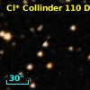 Cl* Collinder  110     DI    3243